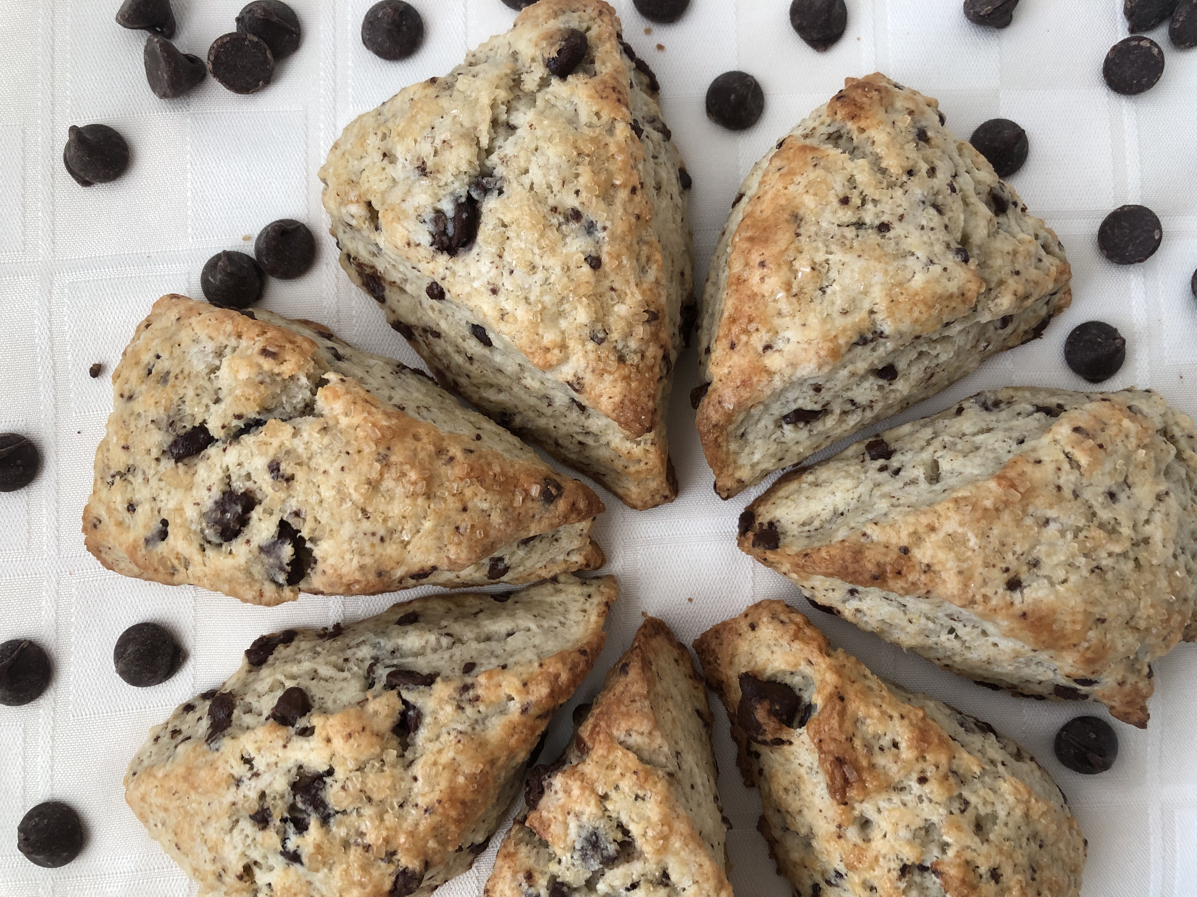 Scrumptious Scones: Soft and Tender